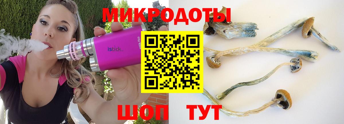 Галлюциногенные грибы мицелий Кстово