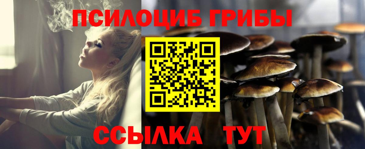 Галлюциногенные грибы Cubensis  Вход с VPN  Кстово  Псилоцибиновые грибы GOLDEN TEACHER 